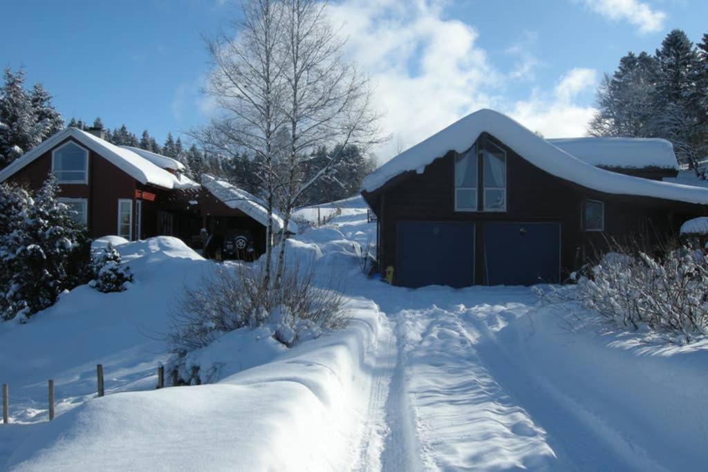 Skjerping Gardshus, Villa Lonevag ภายนอก รูปภาพ